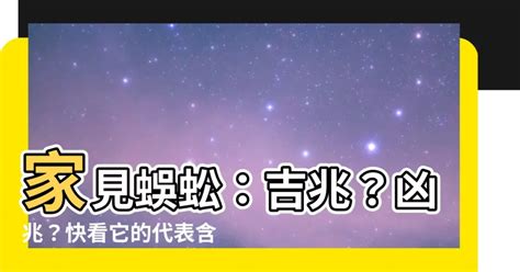 蜈蚣代表什麼|家有蜈蚣？吉兆還是凶兆？